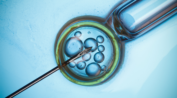 Navigating Fertility Treatments: A Beginner's Guide to Egg Freezing and IVF