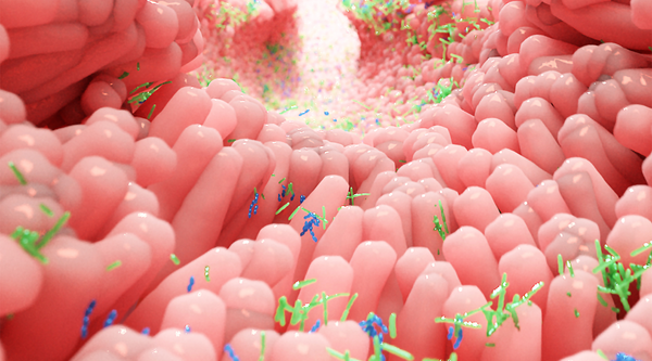 What is your skin's microbiome, and why is it important?